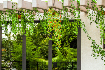 mirror with green plants