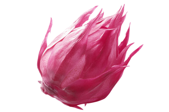 Whole dragon fruit isolated on transparent background