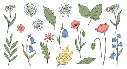 Delicate botanical illustration featuring diverse wildflower and leaf elements perfect for spring