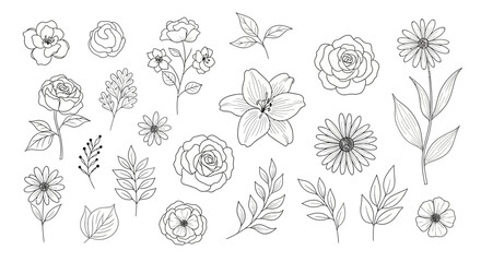 Elegant line art illustration of assorted flowers and leaves for botanical designs and decoration