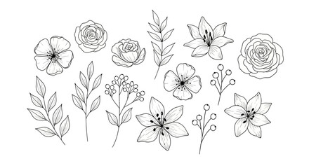 Elegant floral botanical illustration featuring roses lilies and foliage in black and white