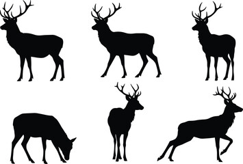 Set of deer silhouette vector illustrations featuring standing, grazing, walking, and running poses with antlers, wild forest animal design.