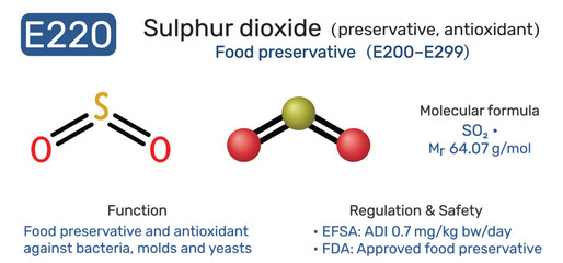 E220 sulphur dioxide molecule food additive. Food preservative and antioxidant. Vector illustration