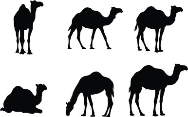 Vector illustration of camel silhouettes in various poses, desert animal design for travel, wildlife, safari, caravan, nature, and adventure artwork.