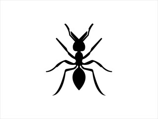 Detailed black silhouette of an ant on white background