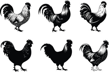 Rooster silhouette collection, black and white poultry icons, farm animal illustration, feather pattern, comb style, rural, livestock, graphic design