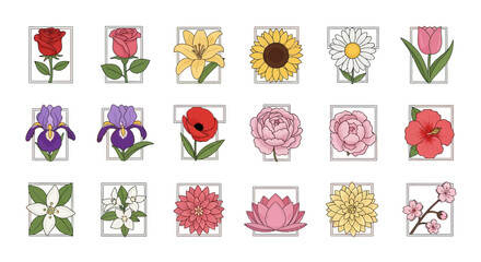 Collection of Diverse Floral Illustrations in Square Frames.