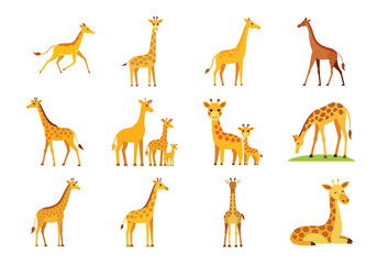 Collection of giraffe illustrations isolated on white background