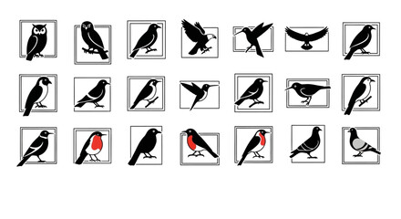 A diverse collection of bird illustrations in framed squares.