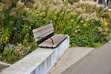 Bench in the local park