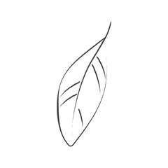 Vector illustration of a leaf