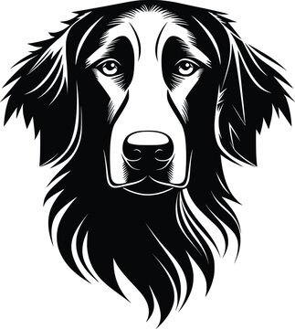 Flat-Coated Retriever head silhouette with long ears, soft fur, and gentle eyes in black vector