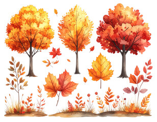 PNG Charming autumn watercolor illustrations, element set on transparent background 