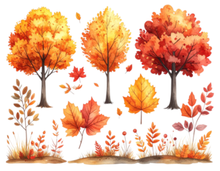 PNG Charming autumn watercolor illustrations, element set on transparent background 