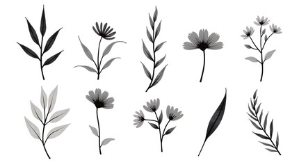 Flower brush hand drawn vector set. Hand drawn doodle flower, floral leaf elements in brush stroke ink style. Simple abstract botanical silhouette set for nature black paint art. Vector illustration
