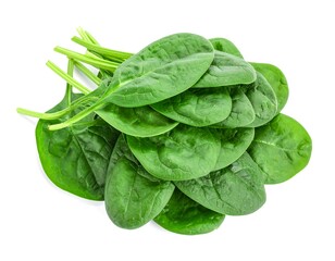 Fresh spinach leaves bunch