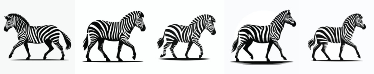 vector black and white silhouette of a zebra