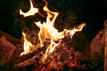 Close-up of campfire flames burning wood at night