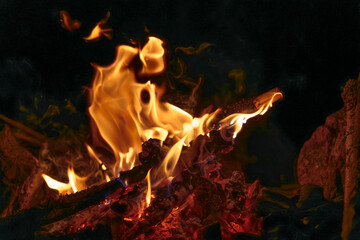 Close-up of campfire flames burning wood at night