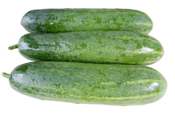 Fresh cucumber vegetable displays vibrant green color, representing natural healthy food and plant based ingredient