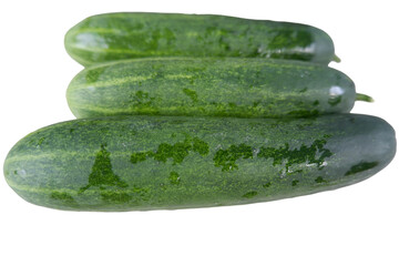 Three fresh cucumbers are arranged, exhibiting vibrant green color, clean texture, and freshness, inviting healthy eating
