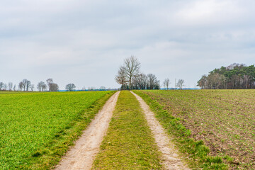 Country road in field. Country road to village. Straight country way and field nature. Rural road through farmland. Rural way to village in countryside. Dirt road in countryside. Rural life