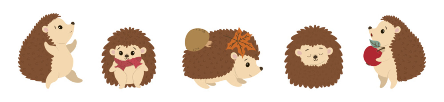 Funny hedgehogs in various poses with birds in a colorful autumn forest, seamless vector pattern with apple and mushroom. Perfect for fall designs and seasonal decorative projects. Isolated on white b