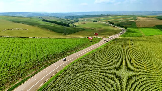 Road through farmland in Romania. Aerial view of green fields and winding road leading through agricultural landscape