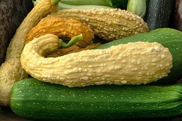 Green and yellow zucchini of different varieties.