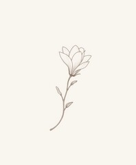Elegant line art of a blooming magnolia flower on a soft background