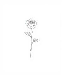 Elegant Line Art of a Single Rose on a Minimalist Background