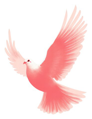 Obraz premium PNG Dove bird outdoors mid-air nature.