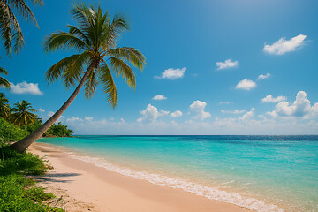 tropical beach with coconut palm trees