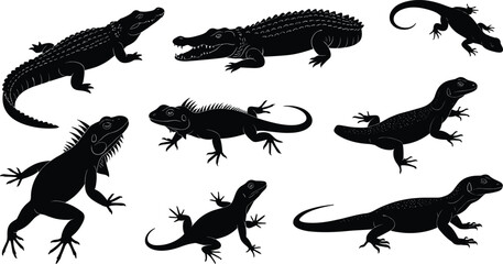 Set of diverse reptile silhouettes including crocodiles, iguanas, and various lizards, showcasing different species for a wildlife and nature concept