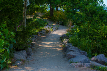 Dirt walking path lined with rocks in lush green summer forest