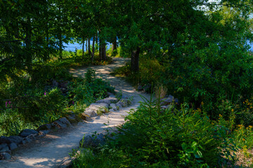 Dirt walking path lined with rocks in lush green summer forest