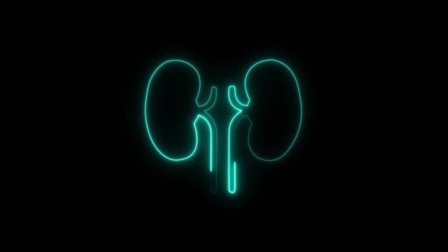 Neon kidney icon glowing medical animation design
Abstract organ health care symbol on black background