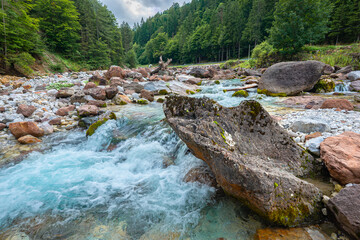 Clear mountain river flowing through rocky dense wooded landscape
