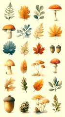 Collection of autumn leaves, mushrooms, and acorns showcasing natural details found in a forest during fall