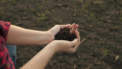 The hands of a peasant woman hold a handful of fertile soil with their bare hands, a view from above. The concept of agriculture, agribusiness.