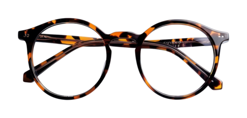 PNG Stylish tortoiseshell round glasses