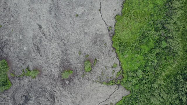 Eagle view drone footage showing stark contrast between arid volcanic terrain and lush regrowing forest on Reunion Island. Nature's resilience and hope are vividly captured.