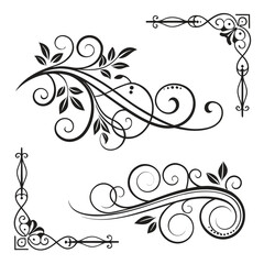 Ornamental calligraphy elements. Vintage decorative frames, elegant flourish swirls and filigree borders, classic wedding invitation design. Vector	