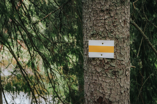 A rectangular white-yellow hiking trail marker attached to a tree trunk that guides hikers along a forest path surrounded by dense foliage.