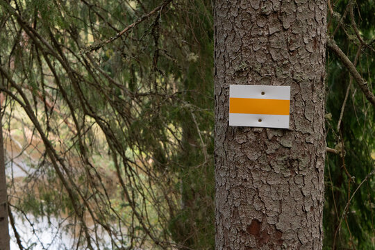 A rectangular white-yellow hiking trail marker attached to a tree trunk that guides hikers along a forest path surrounded by dense foliage.
