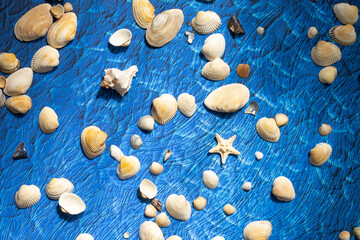 accesories for summer sea beach on blue wawes background. Beach things sunglasses and shells