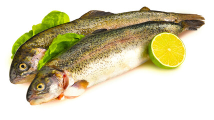 Fischarten