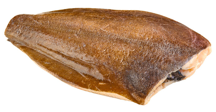 Fischarten