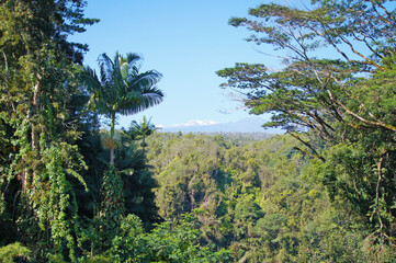 Mountain In The Distance