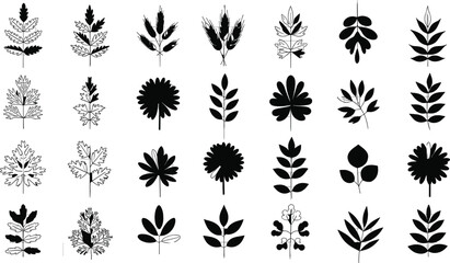 Black and white botanical leaf silhouettes collection, diverse plant foliage vector set, natural shapes, decorative design elements for eco illustration